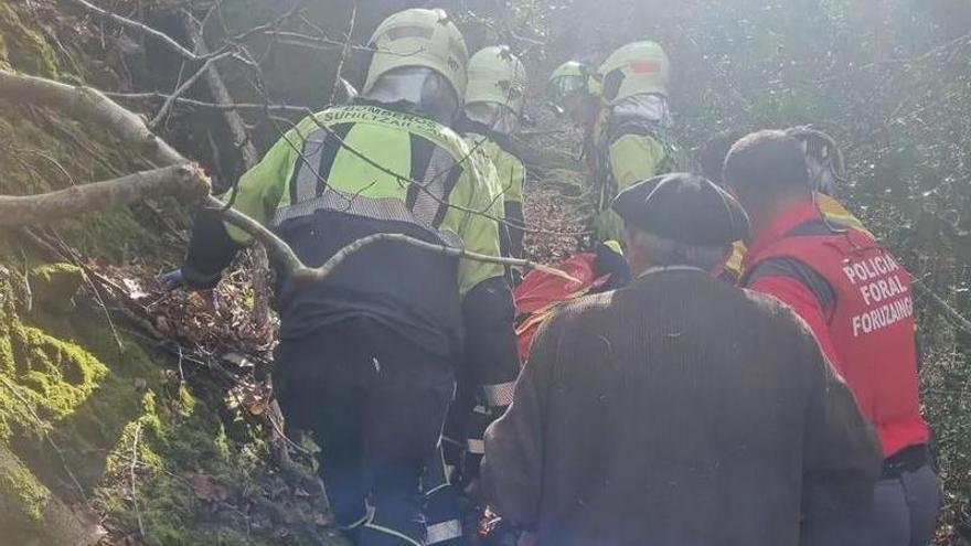 Trasladan en helicóptero a un herido por un accidente laboral en Baztan