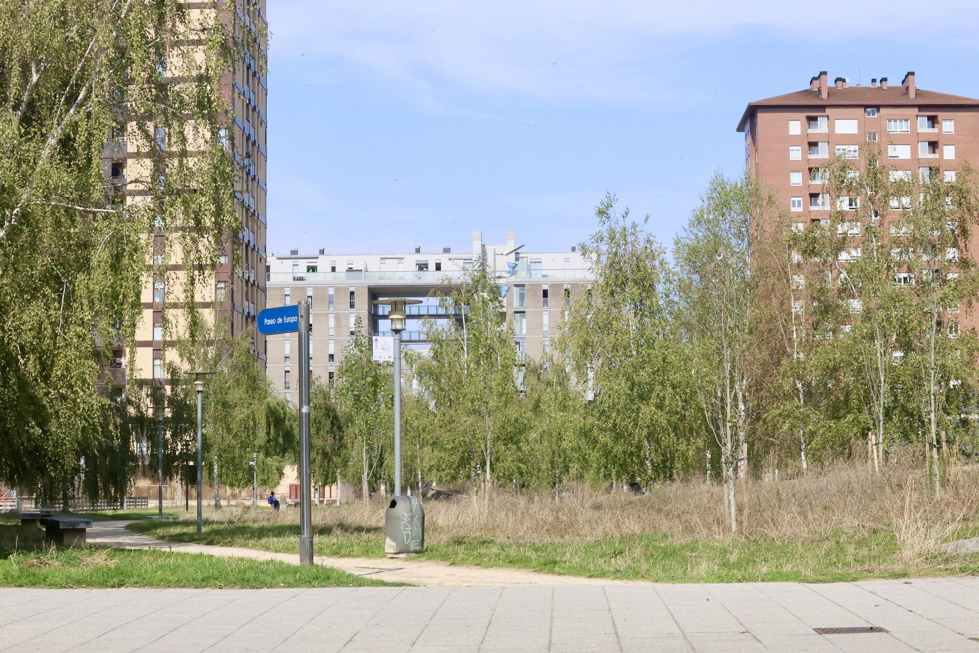 En imágenes: Vitoria-Gasteiz se prepara para adecentar el verde de la ciudad