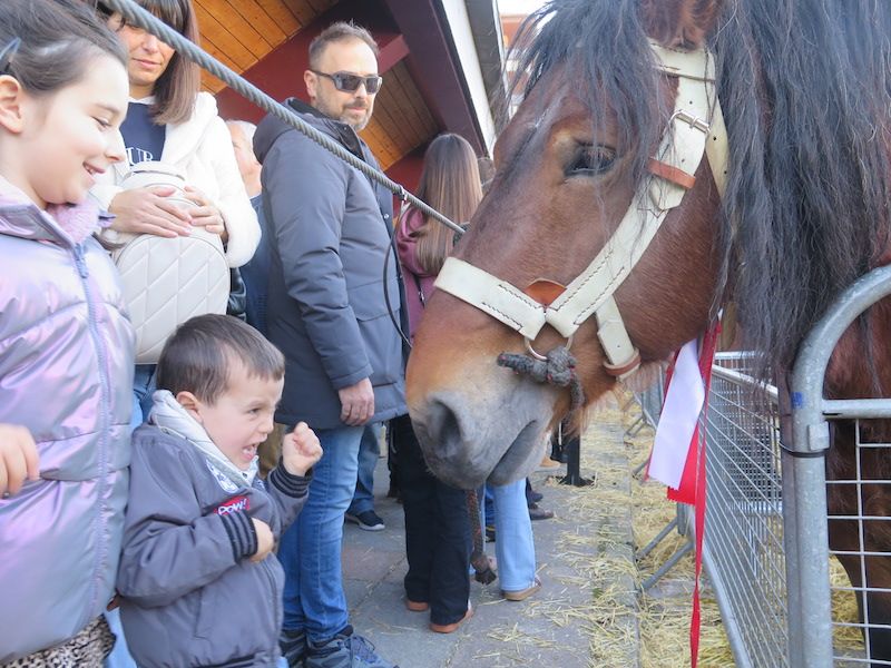 La feria de Santa Lucía, en imágenes