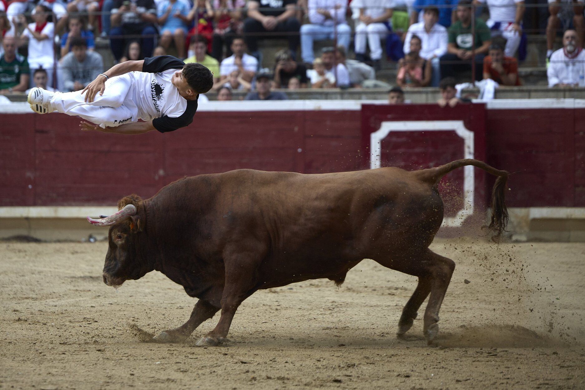 Fotos del concurso de recortadores de fiestas de Tafalla
