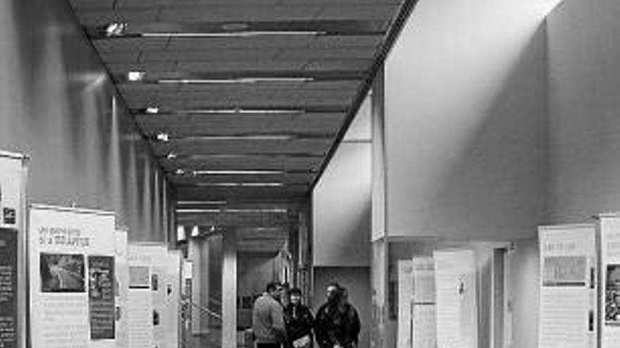 La biblioteca está ubicada en civivox Mendillorri.
