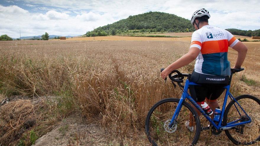 Ventas históricas de  124 millones para Garlan en el pasado ejercicio