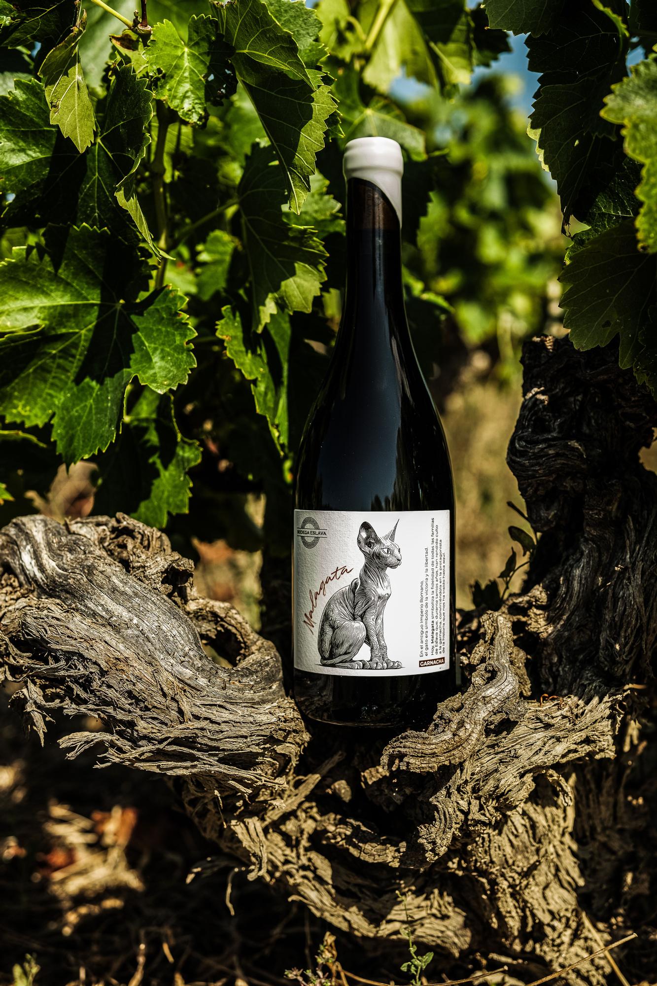 Malagata de Bodega Eslava