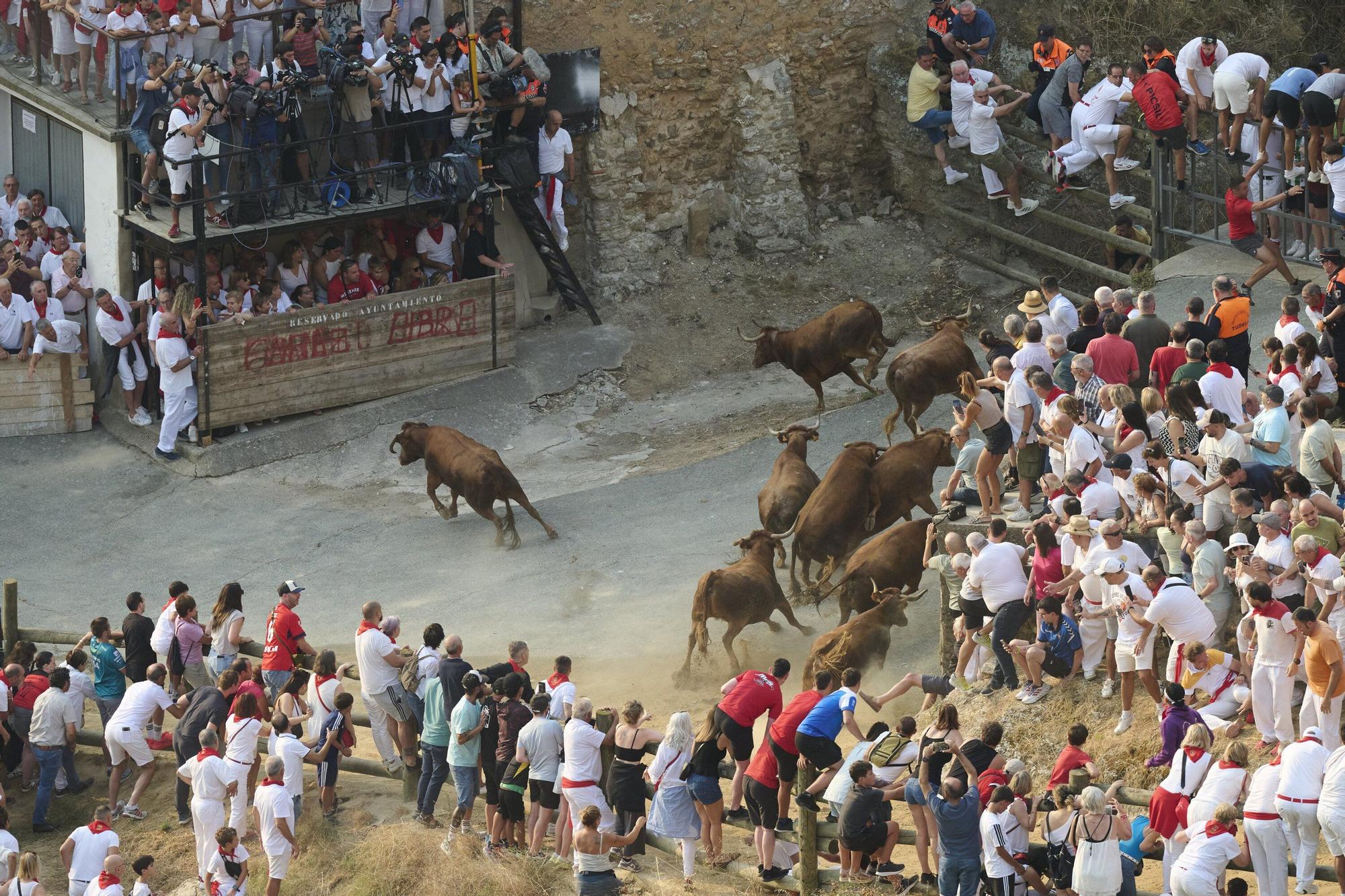 Fotos del primen encierro del Pilón en Falces 2025