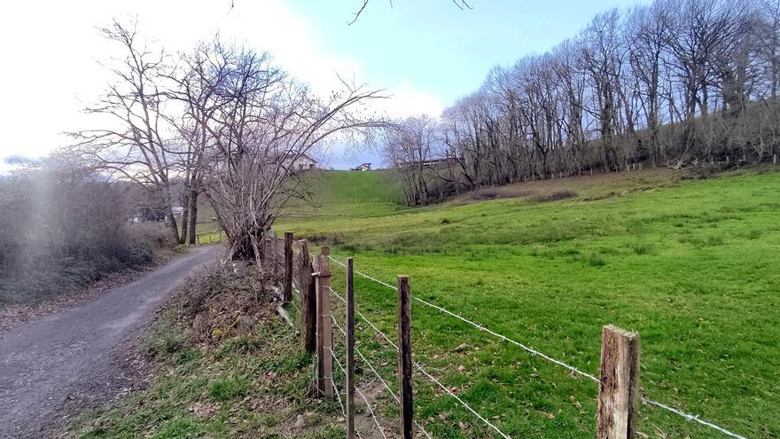 Visita el sábado a los humedales entre Elizondo y Lekaroz