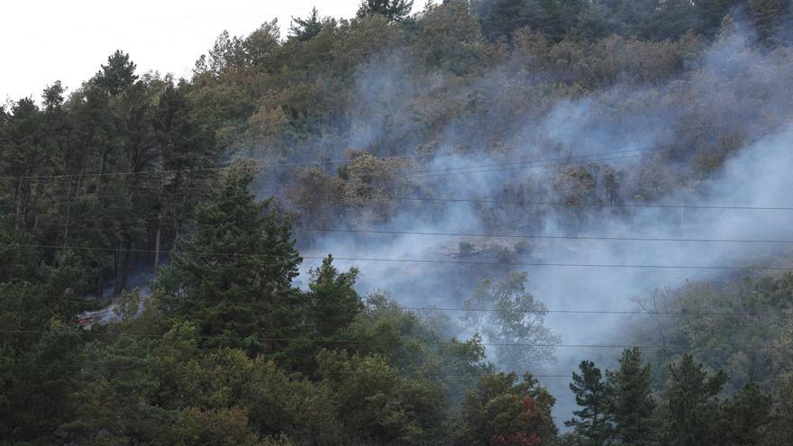 El viento dificulta la extinción del incendio forestal en Güeñes