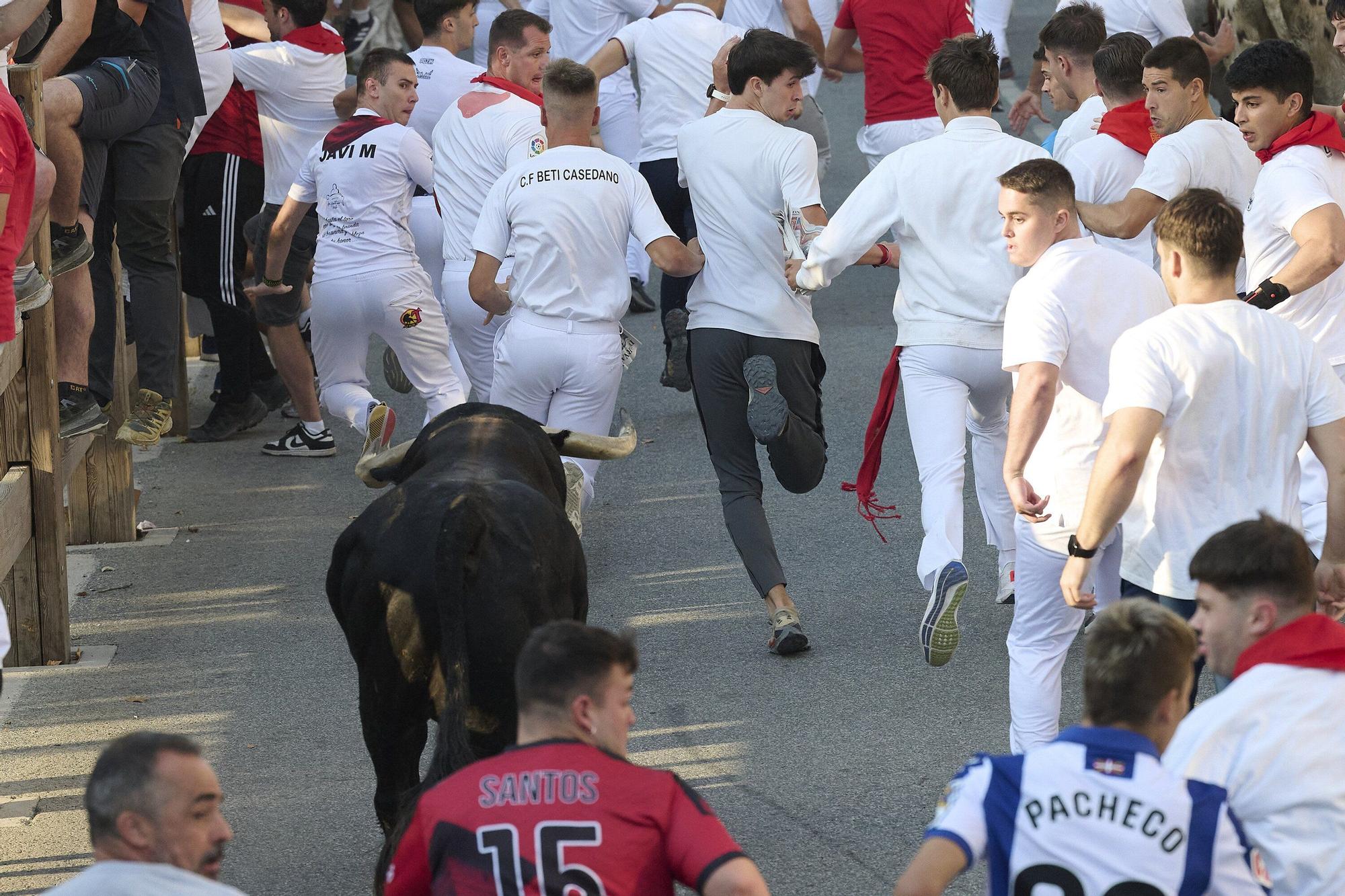 Fotos del primer encierro de fiestas de Tafalla