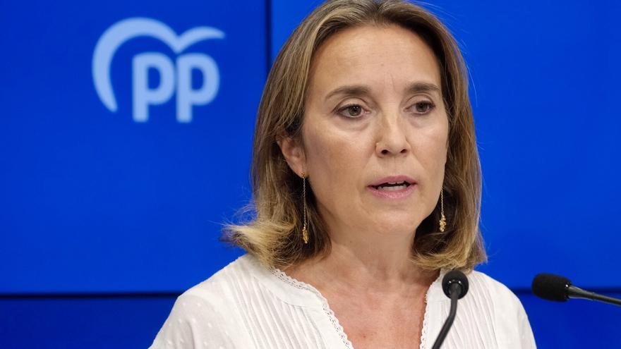 Gamarra acusa al Parlamento de Navarra de haberse convertido en un "instrumento para tapar la corrupción"