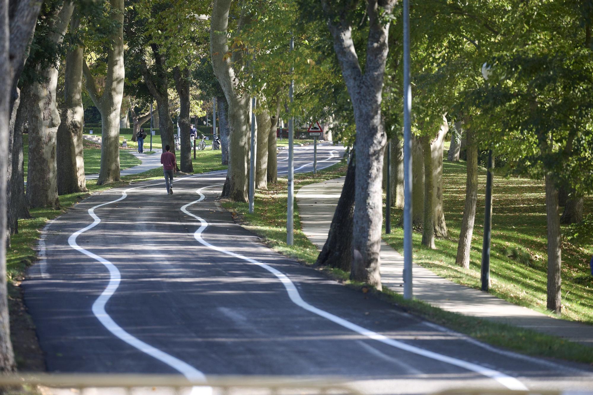 Fotos de las líneas serpenteantes de la carretera de la Universidad de Navarra
