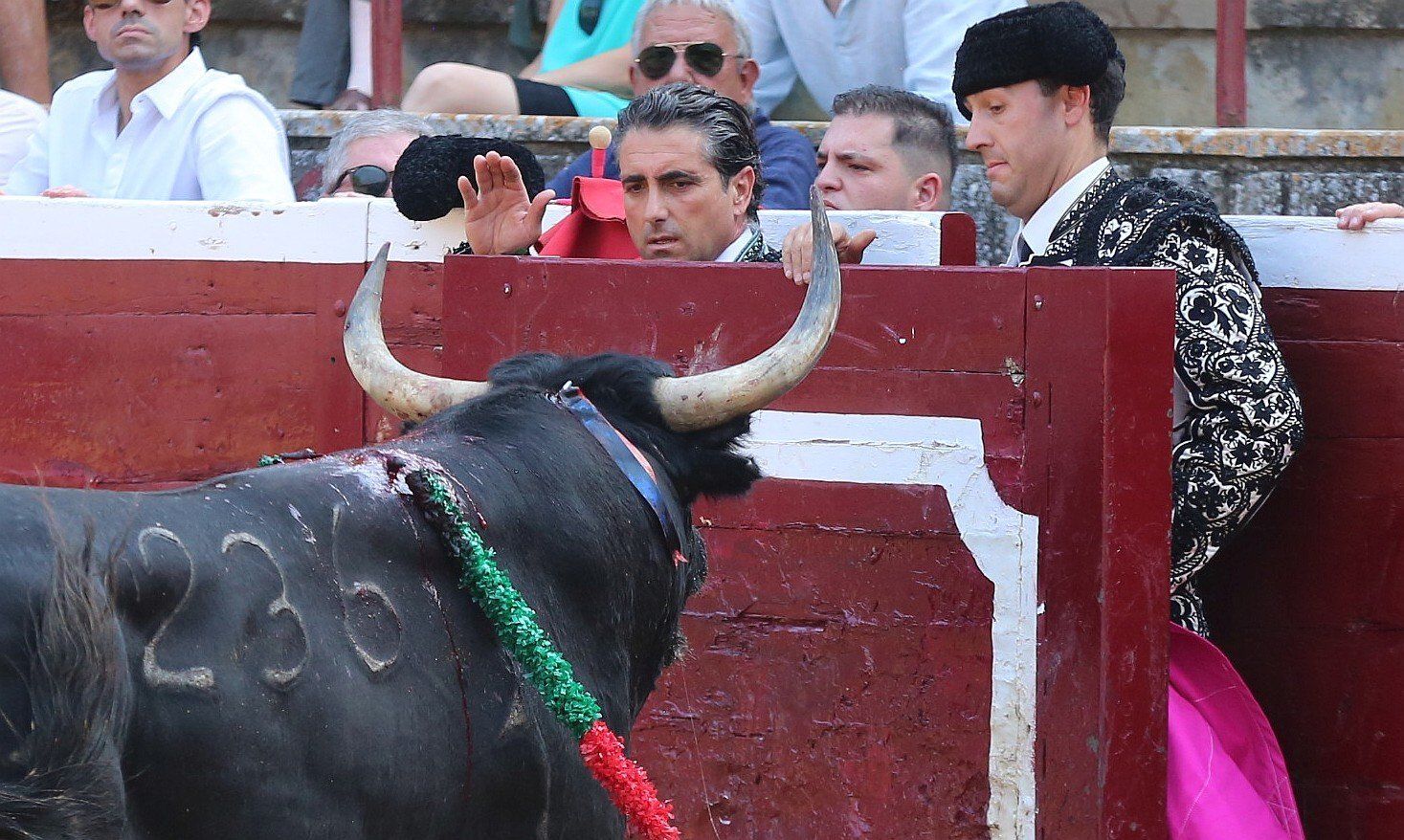 Fotos de la tercera corrida de toros de fiestas de Tafalla