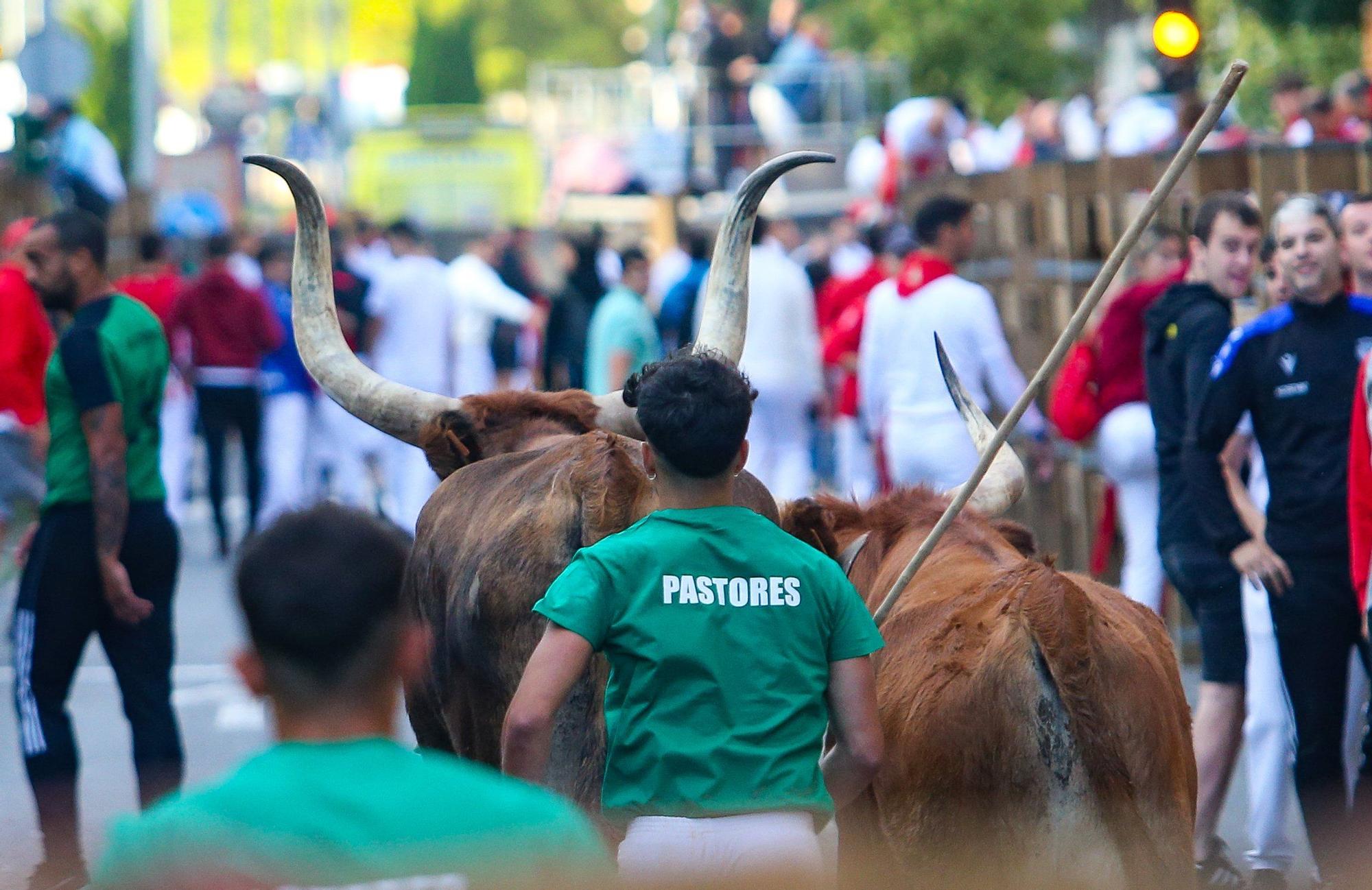 Fotos del primer encierro de las fiestas de Tudela 2025