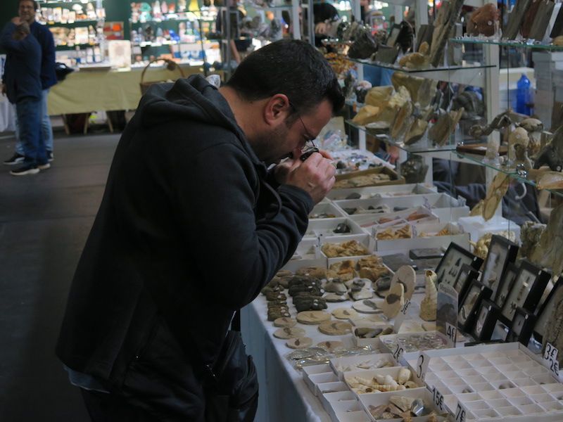 Los minerales, los fósiles y los dinosaurios toman Urretxu