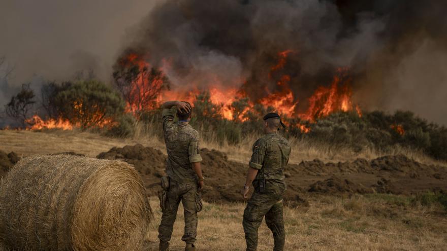 La Fiscalía investiga la &quot;ausencia&quot; de planes de prevención ante la devastadora oleada de incendios