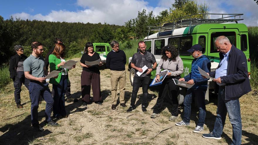 Pamplona: 4.100 repoblaciones en Ezkaba desde el gran incendio de 2022