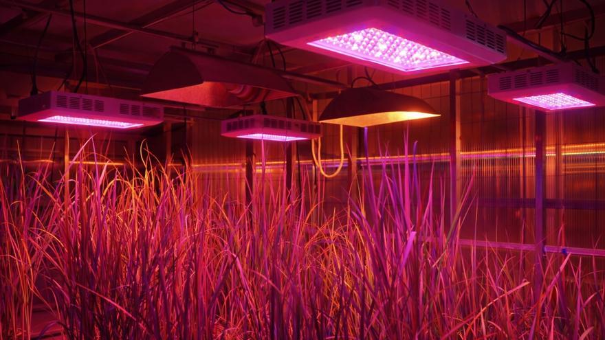 Oarsoaldea muestra su arte en escaparates