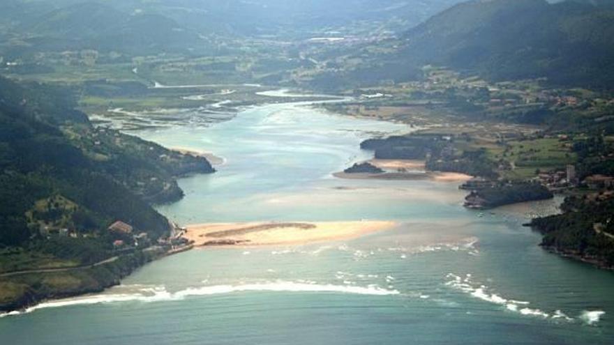 El proyecto para restaurar la zona alta del estuario se focaliza en Murueta, Kortezubi, Forua, Gautegiz Arteaga y Gernika-Lumo.