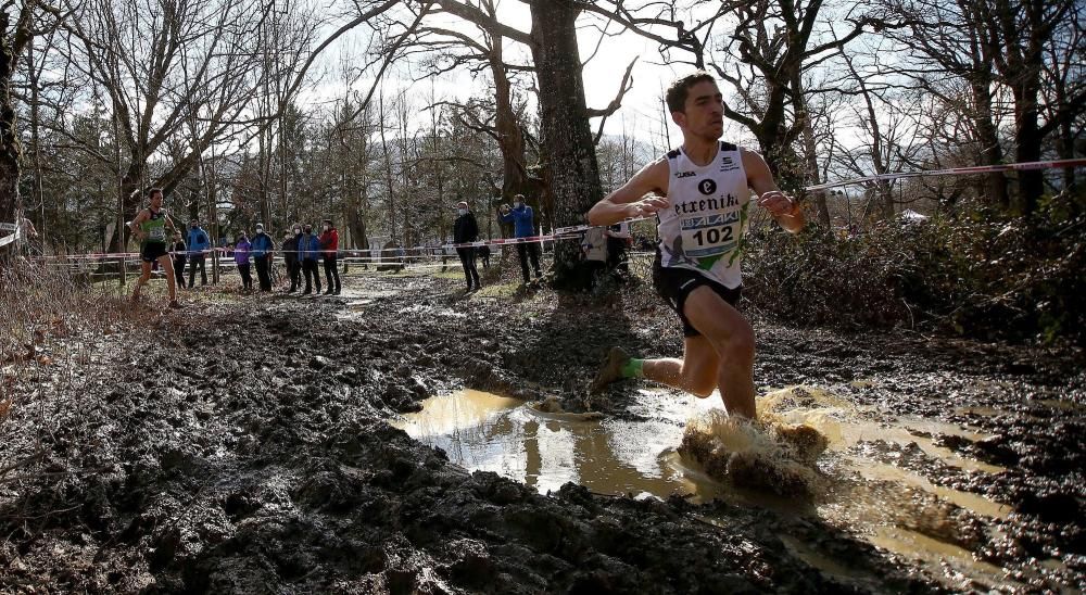 Campeonatos Navarros de Cross