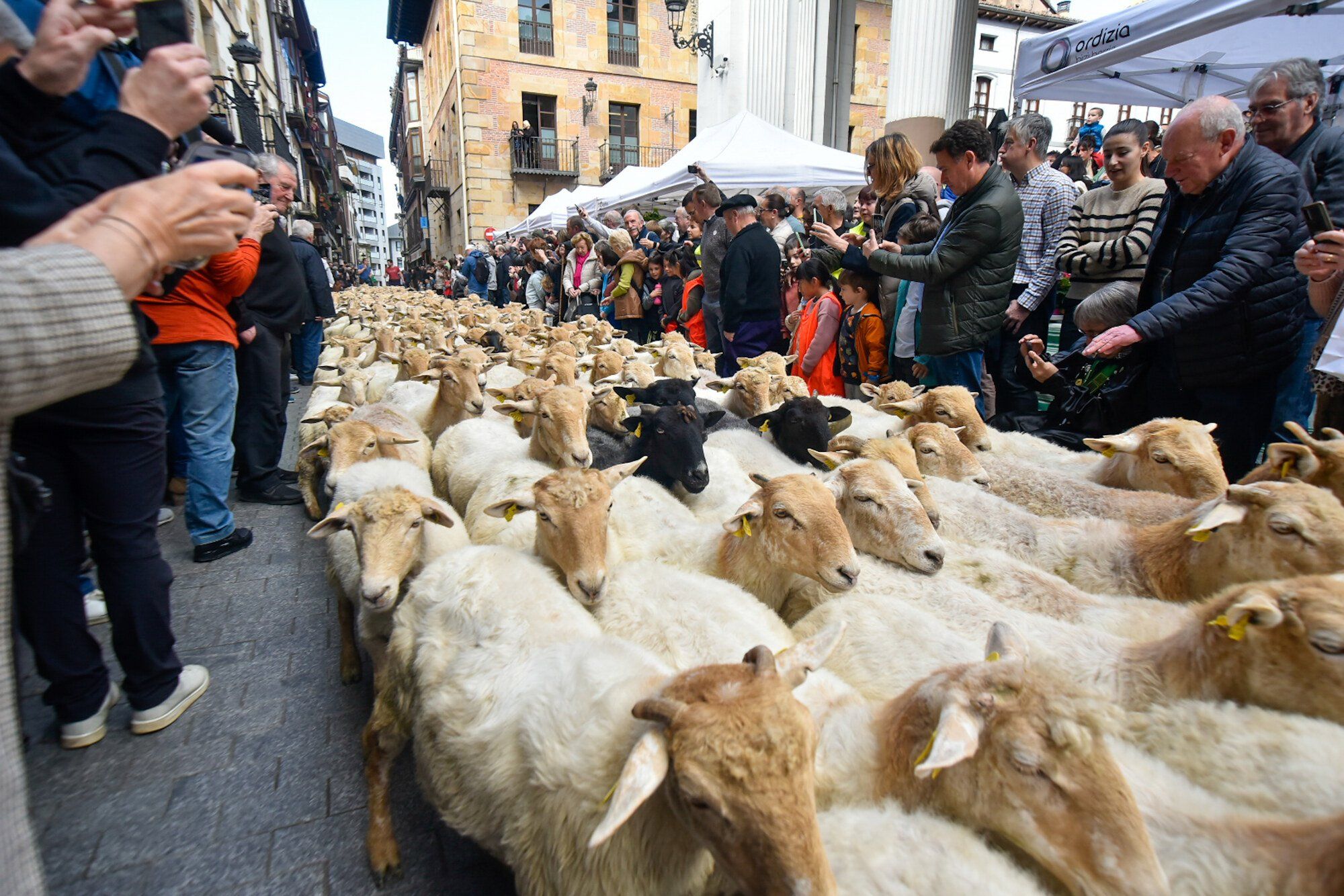 En imágenes: Edorta Lamo, protagonista del Artzain Eguna celebrado en Ordizia