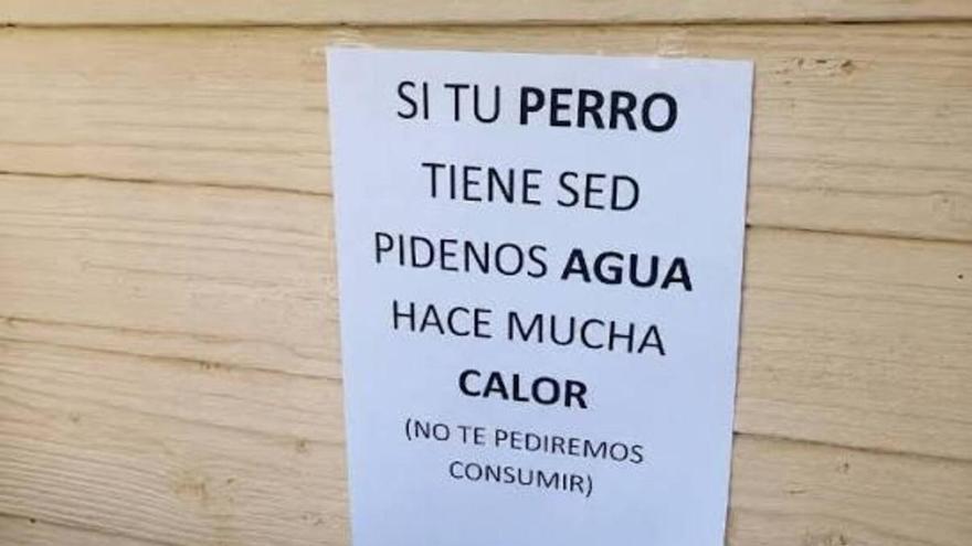El aplaudido cartel de un establecimiento que ofrece agua a perros en plena ola de calor