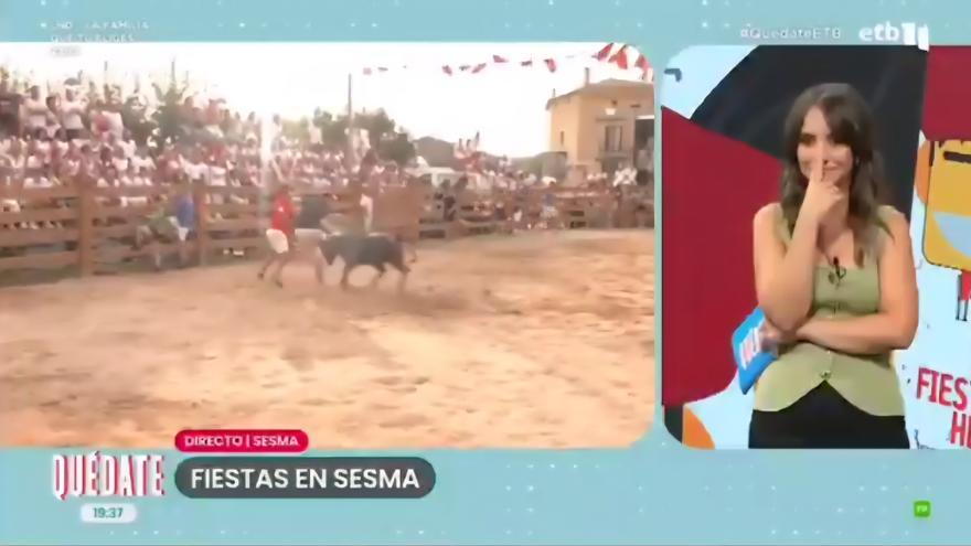 Una vaquilla embiste en directo a un reportero de ETB en las fiestas de Sesma