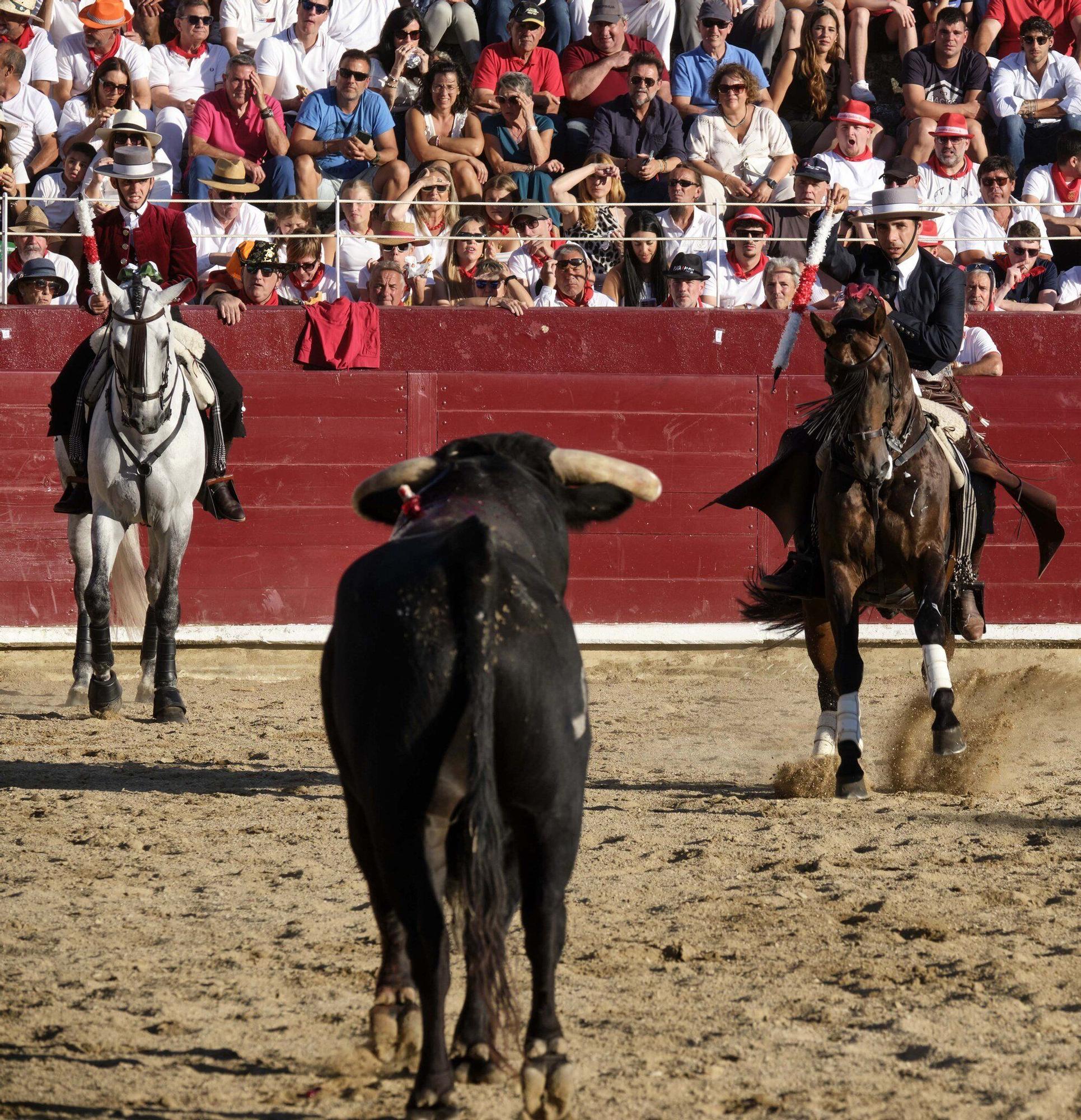 Fotos de la 'encerrona' de Guillermo Hermoso de Mendoza en la plaza de toros de Estella - Lizarra