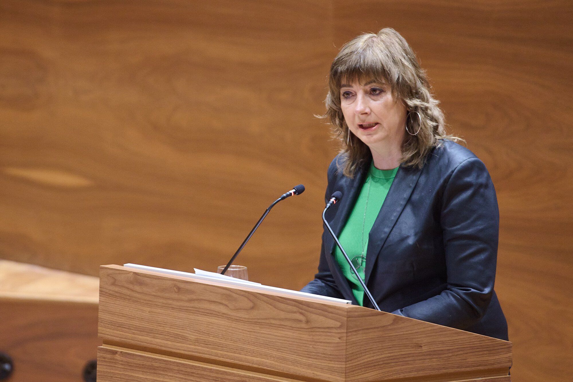 Pleno del Parlamento de Navarra del jueves 16 de febrero