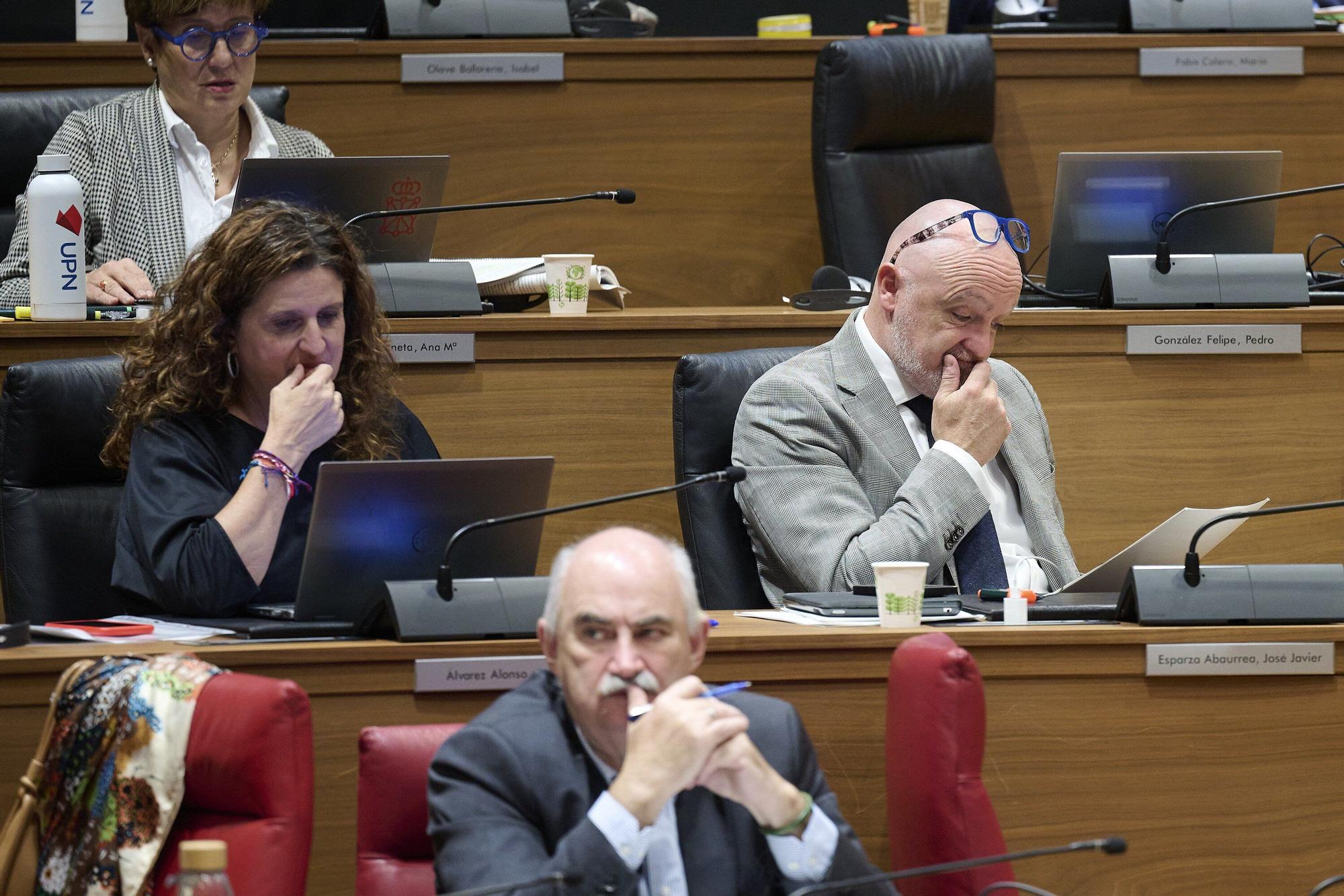 Fotos del pleno del Parlamento de Navarra (jueves 25 de septiembre de 2025)