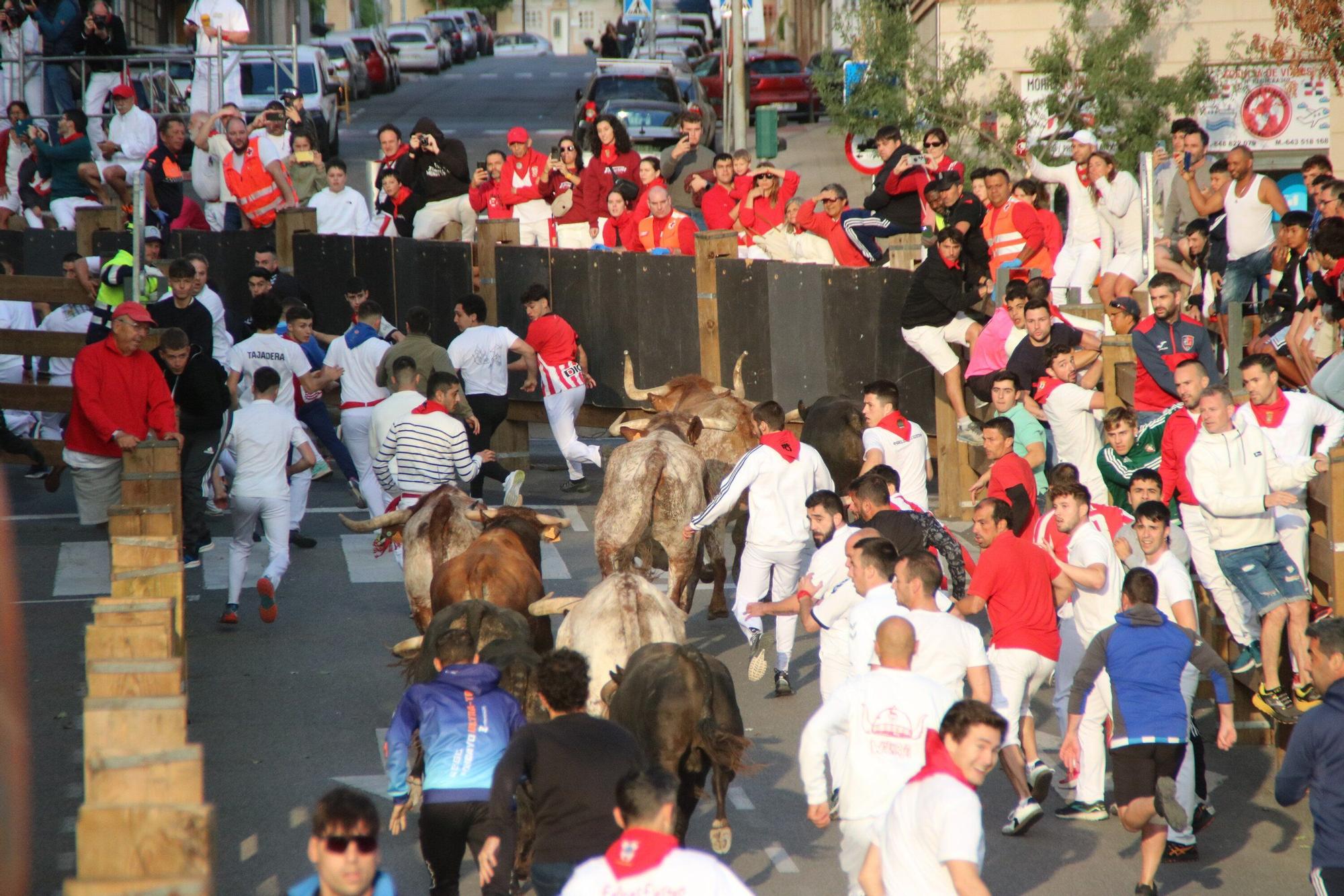 Fotos del primer encierro de las fiestas de Tudela 2025