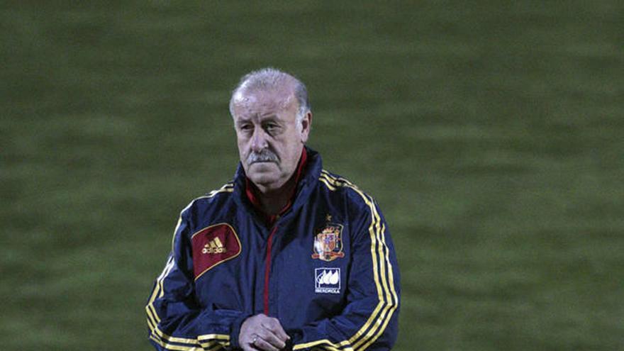 Del Bosque no contará con Xabi Alonso ni con Xavi frente a Finlandia