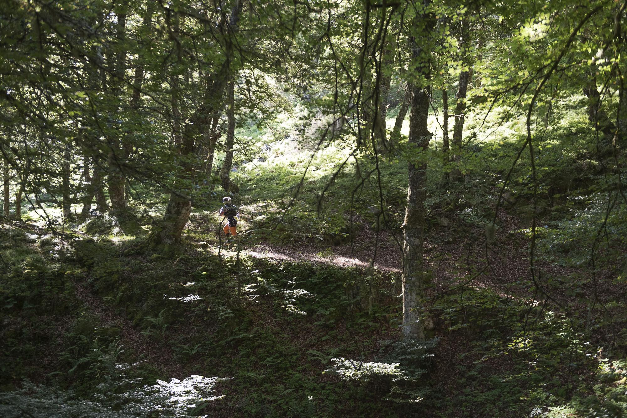 En imágenes: Riaño Trail Run
