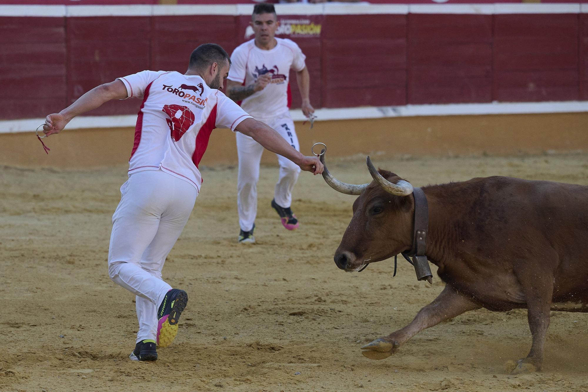 Concurso de recortadores con anillas