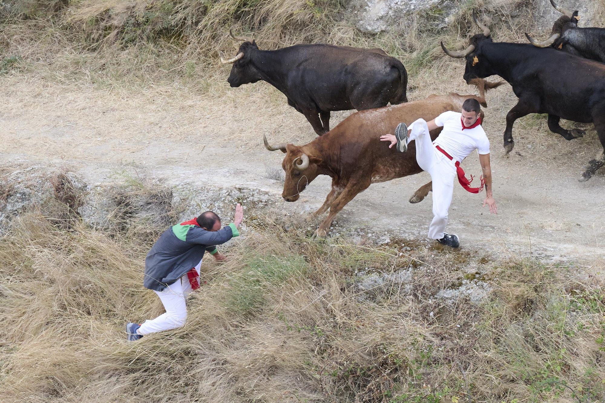 Fotos del tercer encierro del Pilón de Falces 2025
