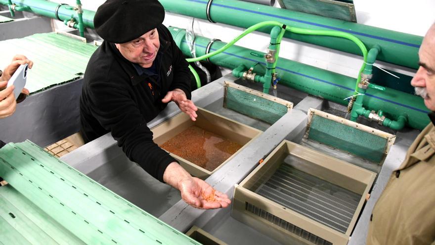 Medio Ambiente invierte medio millón de euros en mejoras para la piscifactoría de Oronoz-Mugairi