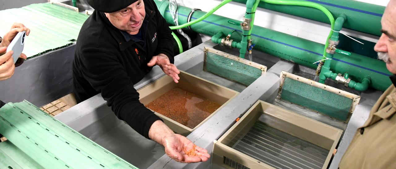 Medio Ambiente invierte medio millón de euros en mejoras para la piscifactoría de Oronoz-Mugairi