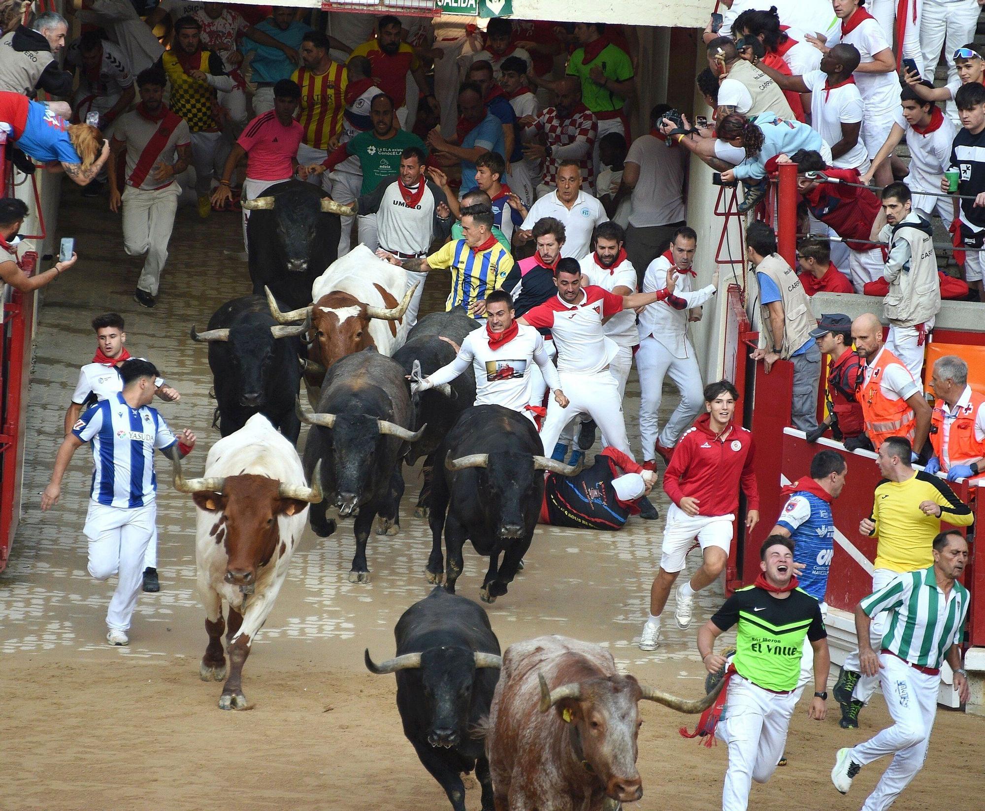 Fotos del octavo encierro de San Fermín con toros de Miura