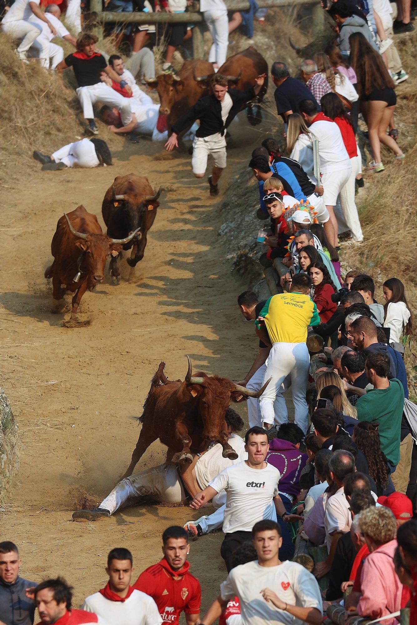 Fotos del cuarto encierro del Pilón de Falces 2025