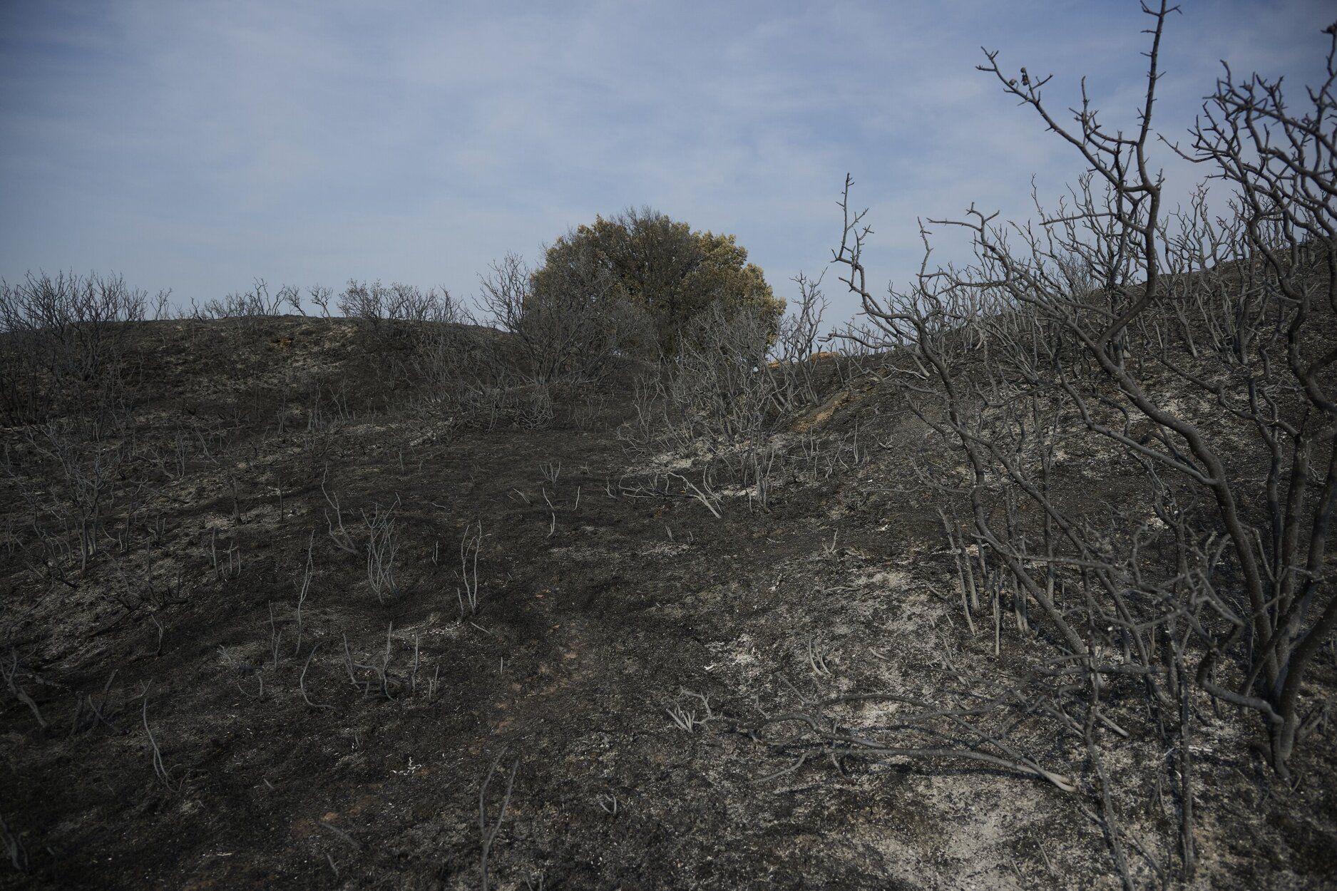 Imágenes de la zona afectada por el incendio en Enériz