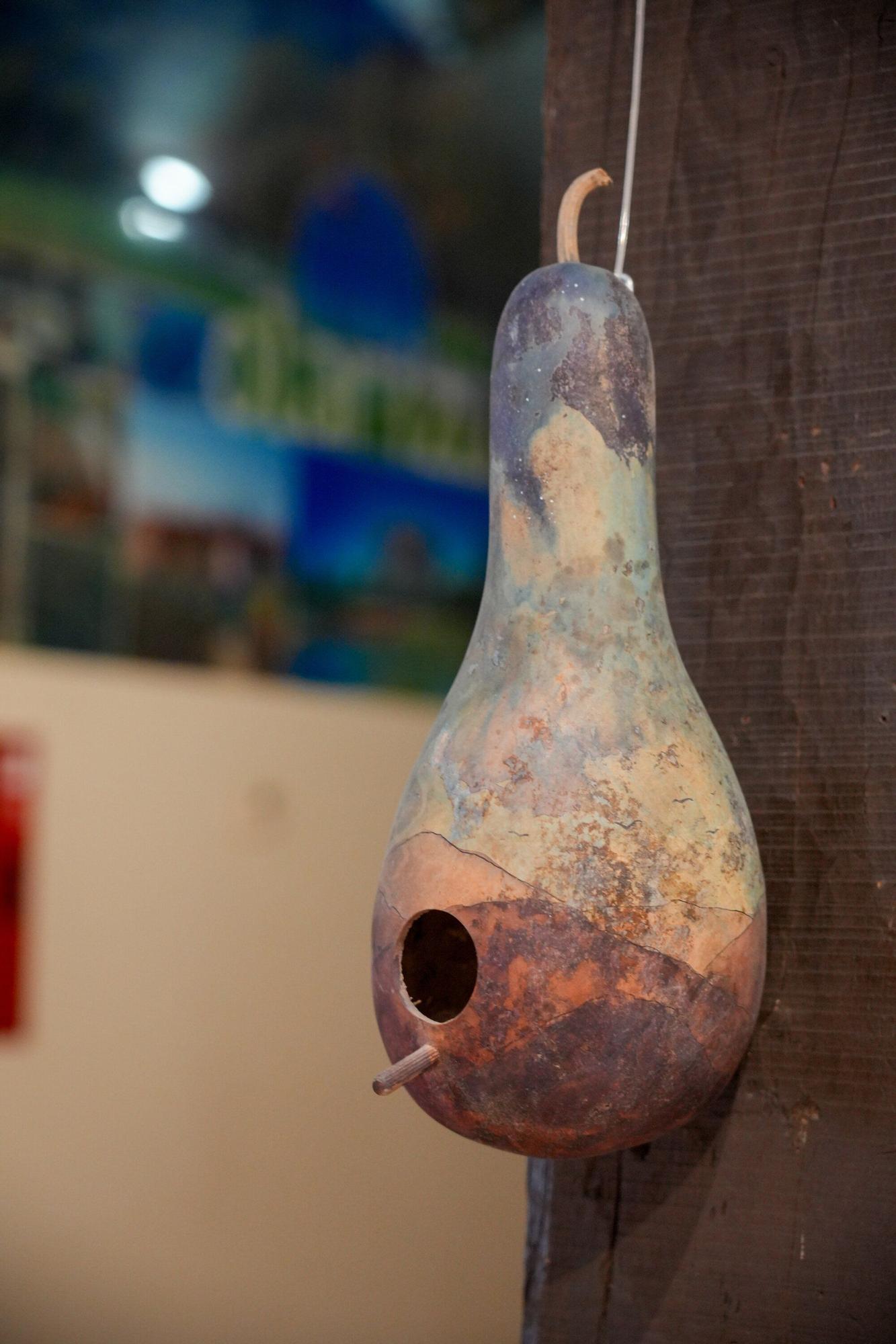 En imágenes: Exposición de calabazas en la Casa de la Dehesa