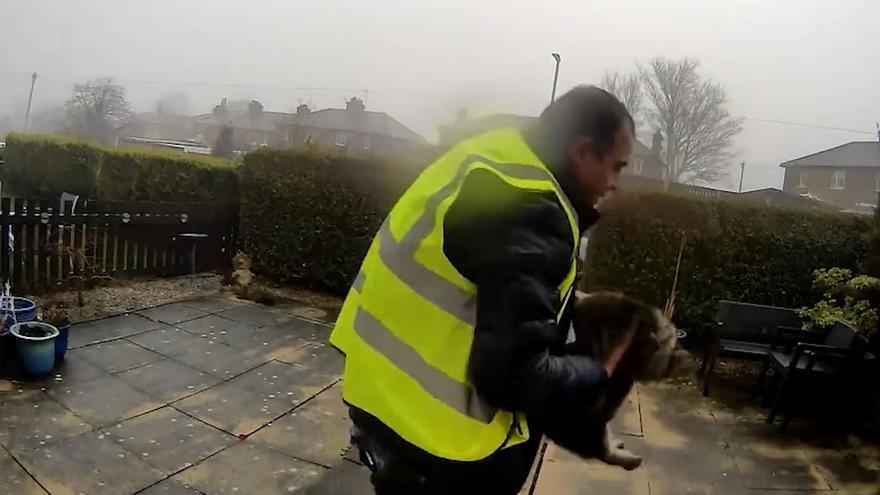 Un repartidor de Amazon puede acabar en la cárcel por robar una gata de la casa donde hacía una entrega