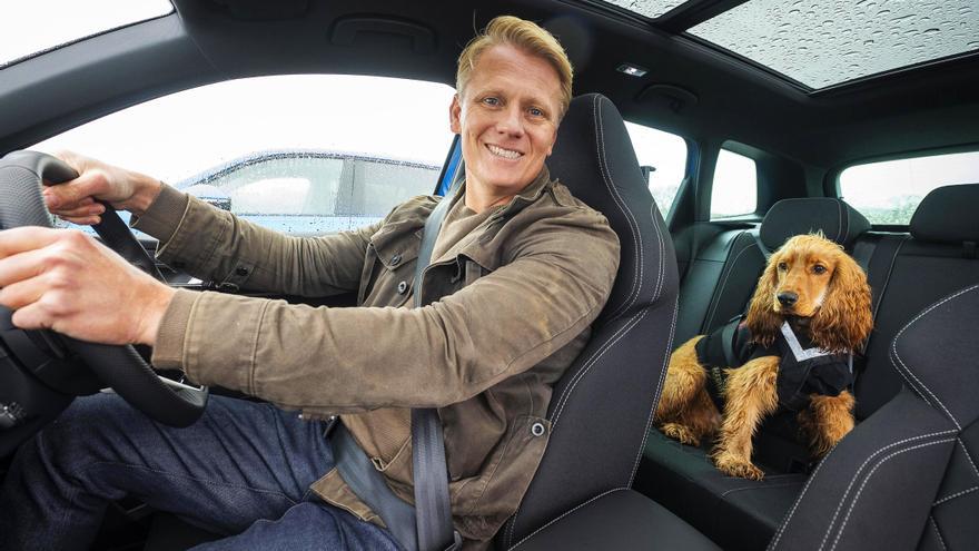 Por qué los perros viajan más tranquilos en un coche eléctrico