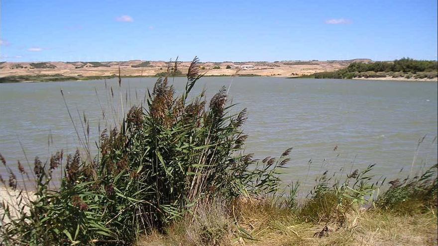 El TSJN anula la desestimación de Medio Ambiente de un proyecto solar del Grupo Enhol