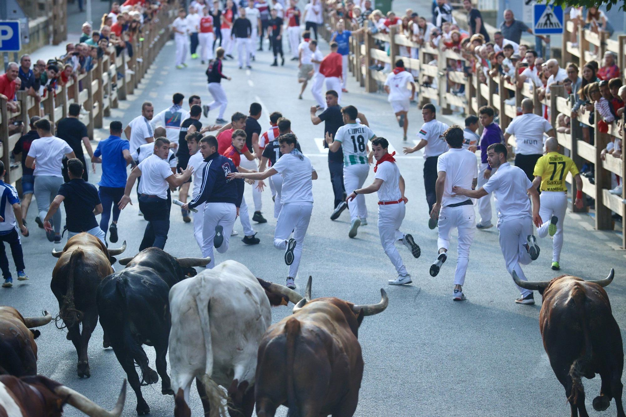 Fotos del quinto encierro de las fiestas de Tafalla 2025