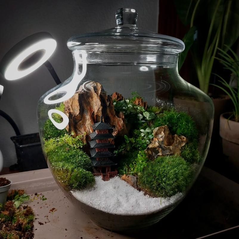 En imágenes: Así son los pequeños universos botánicos que triunfan en Bizkaia