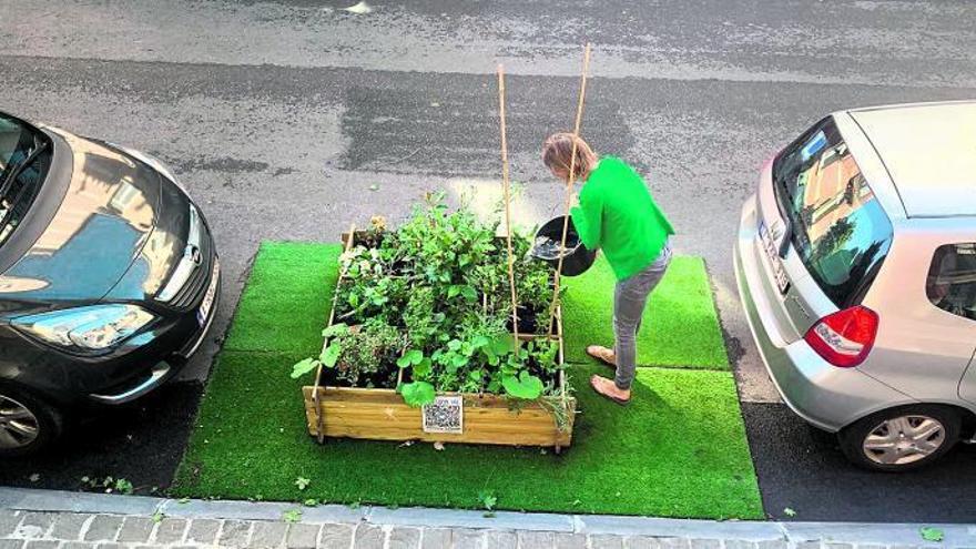 minijardines en la calzada