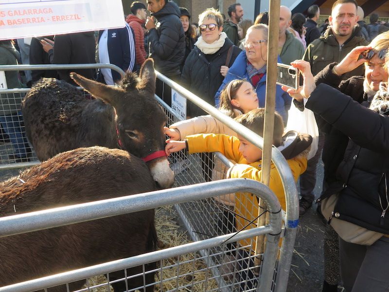 La feria de Santa Lucía, en imágenes