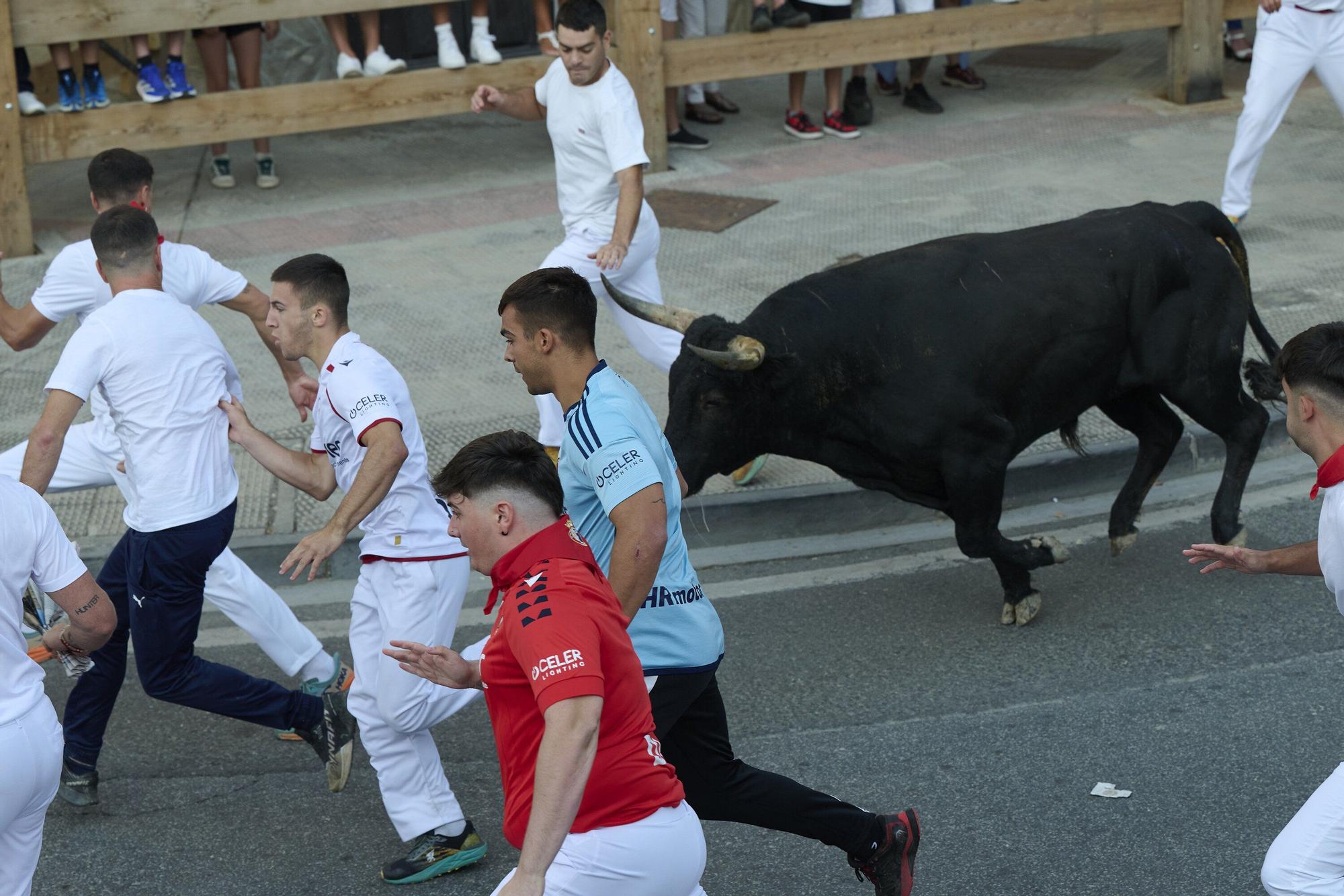 Fotos del segundo encierro de fiestas de Tafalla 2025