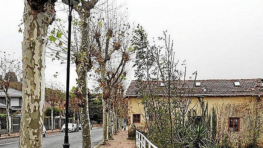 Bidegorri sarea hurrengo urteko udarako prest egongo da Orion