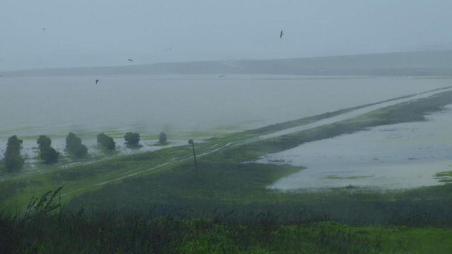 Álvaro Núñez | Agua sin fin en Las Iruelas