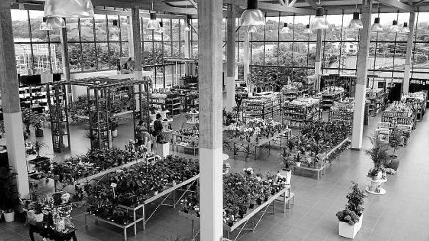 Alkubi Lorategia, más que un centro de jardinería