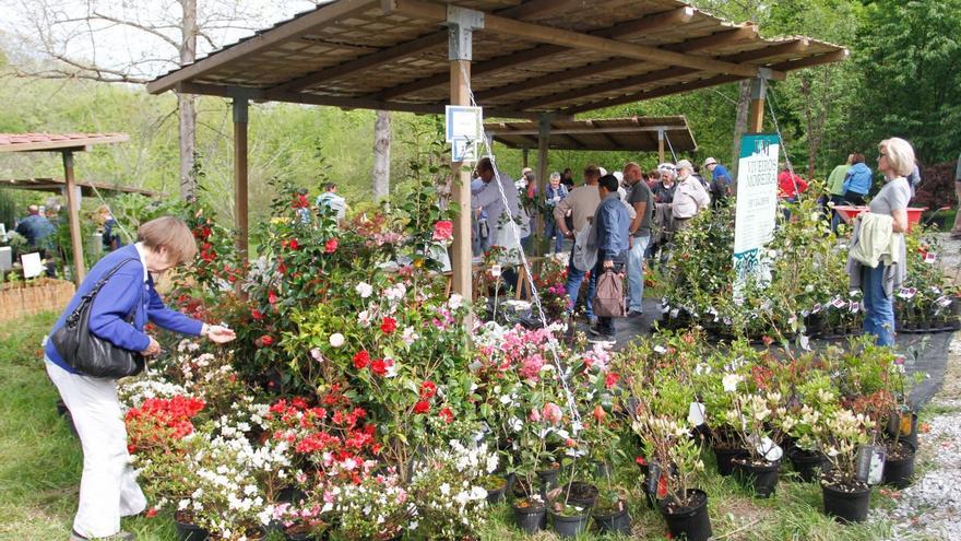 La primavera florece en ferias en Güeñes, Galdames y Alonsotegi